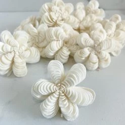 Oh! You're Lovely Sola Wood Flower Sets Moonlady ⢠- Set Of 12 - Multiple Sizes Available