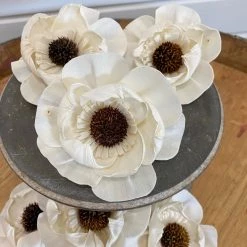 Oh! You're Lovely Sola Wood Flower Sets Charlotte™ - Set Of 6 - 3 Inches