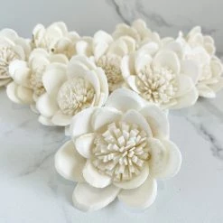 Oh! You're Lovely Sola Wood Flower Sets Cosmic ™ - Set Of 12 - Multiple Sizes Available