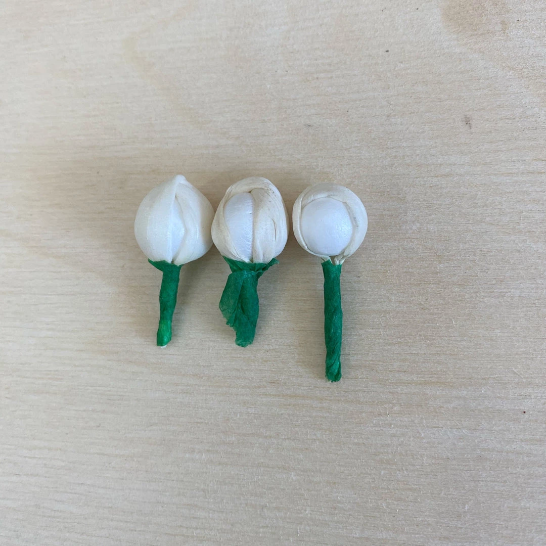 Oh! You're Lovely Sola Florets⢠Set Of 50 | Perfectly Imperfect