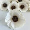 Oh! You're Lovely Sola Wood Flower Sets Papaver ⢠- Set Of 12 - 2.5 Inches