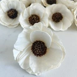 Oh! You're Lovely Sola Wood Flower Sets Papaver ™ - Set Of 12 - 2.5 Inches