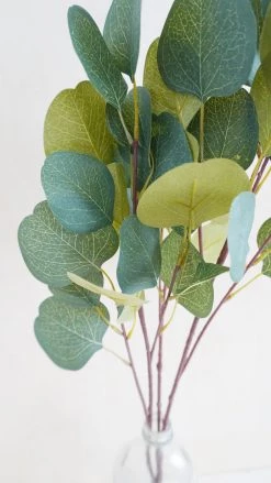 Oh! You're Lovely - Sola Wood Flowers Silver Dollar Eucalyptus | Premium Collection