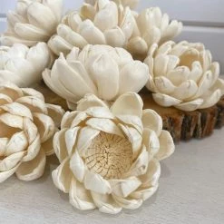 Oh! You're Lovely - Sola Wood Flowers Opal Flower - Set Of 12 - Multiple Sizes Available Sola Wood Flower Sets