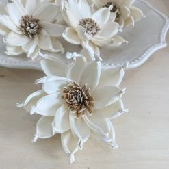 Oh! You're Lovely Quincy™ Set Of 6