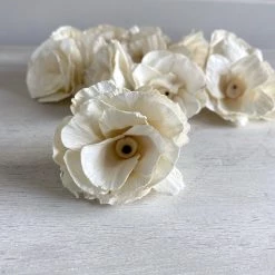 Oh! You're Lovely Dolly™ - Multiple Sizes Available Sola Wood Flower Sets