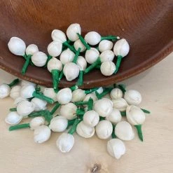 Oh! You're Lovely Sola Florets⢠Set Of 50 | Perfectly Imperfect