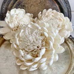 Oh! You're Lovely - Sola Wood Flowers Opal™ Flower | Set Of 3 | XL Flower | Perfectly Imperfect - Please Read Full Description Sola Wood Flower Sets