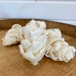 Oh! You're Lovely - Sola Wood Flowers Hawaiian Ginger™ - Set Of 6 - 3" Sola Wood Flower Sets