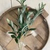 Oh! You're Lovely - Sola Wood Flowers Olive Branch | Faux