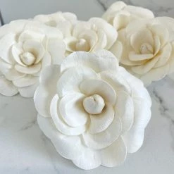 Oh! You're Lovely Double Begonia ™ - Set Of 6 - 3 Inches Sola Wood Flower Sets