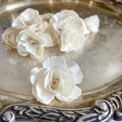 Oh! You're Lovely Dolly™ - Multiple Sizes Available Sola Wood Flower Sets