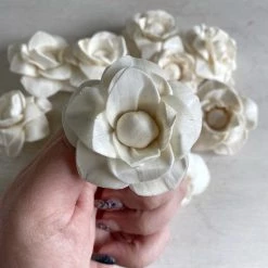 Oh! You're Lovely Sola Wood Flower Sets Josie⢠| 2.5 Inch Sola Flower | Set Of 12