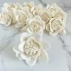Oh! You're Lovely Sola Wood Flower Sets Cosmic ™ - Set Of 12 - Multiple Sizes Available