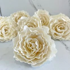 Oh! You're Lovely Chardonnay ™ - Set Of 6 - 3 Inches