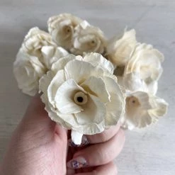 Oh! You're Lovely Dolly™ - Multiple Sizes Available Sola Wood Flower Sets