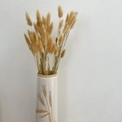 Oh! You're Lovely - Sola Wood Flowers Bunny Tails - Dried/Natural - 2 Oz