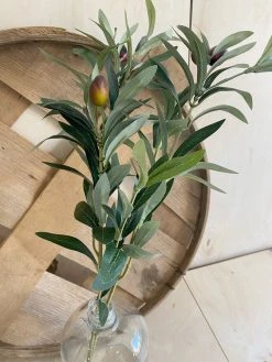 Oh! You're Lovely - Sola Wood Flowers Olive Branch | Faux