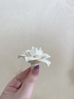 Oh! You're Lovely Sola Wood Flower Sets Begonia™ Set Of 6