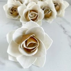 Oh! You're Lovely Sola Wood Flower Sets Bark Lotus ™ - Set Of 12 - 2.5 Inches