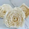 Oh! You're Lovely Sola Wood Flower Sets Chardonnay ™ | Set Of 3 | XL 5 Inches