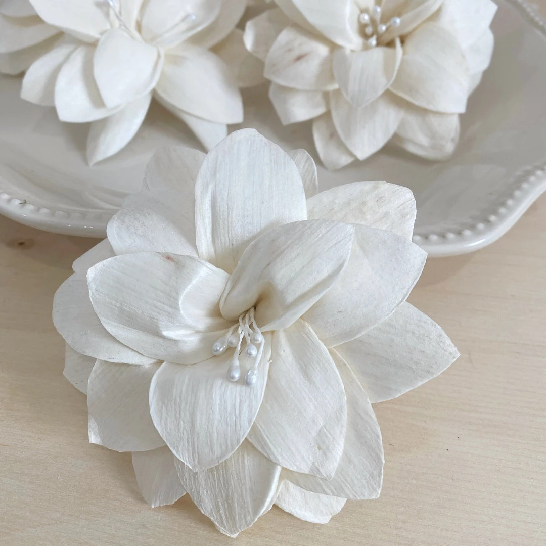 Oh! You're Lovely Sola Wood Flower Sets Nancy™ Set Of 6 | Perfectly Imperfect