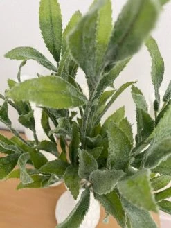 Oh! You're Lovely - Sola Wood Flowers Sage Leaf Bunch | Soft To The Touch | Faux