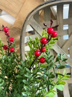 Oh! You're Lovely - Sola Wood Flowers Small Boxwood And Berry Stem | Faux