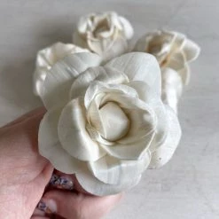 Oh! You're Lovely Sola Wood Flower Sets Josie⢠Set Of 6 | 3 Inches