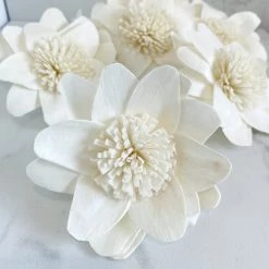 Oh! You're Lovely Ruby ™ - Set Of 6 - 3 Inches Sola Wood Flower Sets