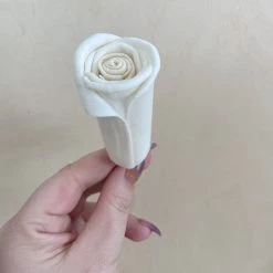 Oh! You're Lovely Pitcher Rose™ Set Of 6