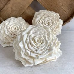 Oh! You're Lovely Clara | X-Large | Set Of 3 Sola Wood Flower Sets