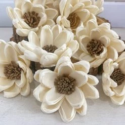 Sola Wood Flowers Wholesale Spellbound - Set Of 12 - Multiple Sizes Available