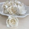 Oh! You're Lovely Sola Wood Flower Sets Budding Lotus™ Set Of 12
