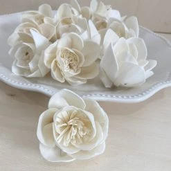 Oh! You're Lovely Sola Wood Flower Sets Budding Lotus™ Set Of 12