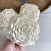Oh! You're Lovely Clara | X-Large | Set Of 3 Sola Wood Flower Sets