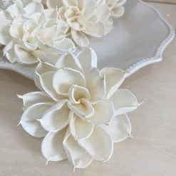 Oh! You're Lovely Mature Dahlia™ Set Of 6