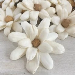 Oh! You're Lovely Gabriel Flower - Set Of 12 - Multiple Sizes Available