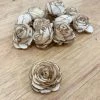 Oh! You're Lovely Spud™ - Set Of 12 - Multiple Sizes Available Sola Wood Flower Sets