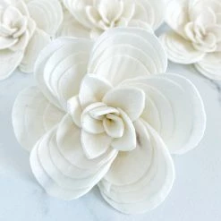 Oh! You're Lovely Sylvia ™ - Set Of 6 - 3 Inches