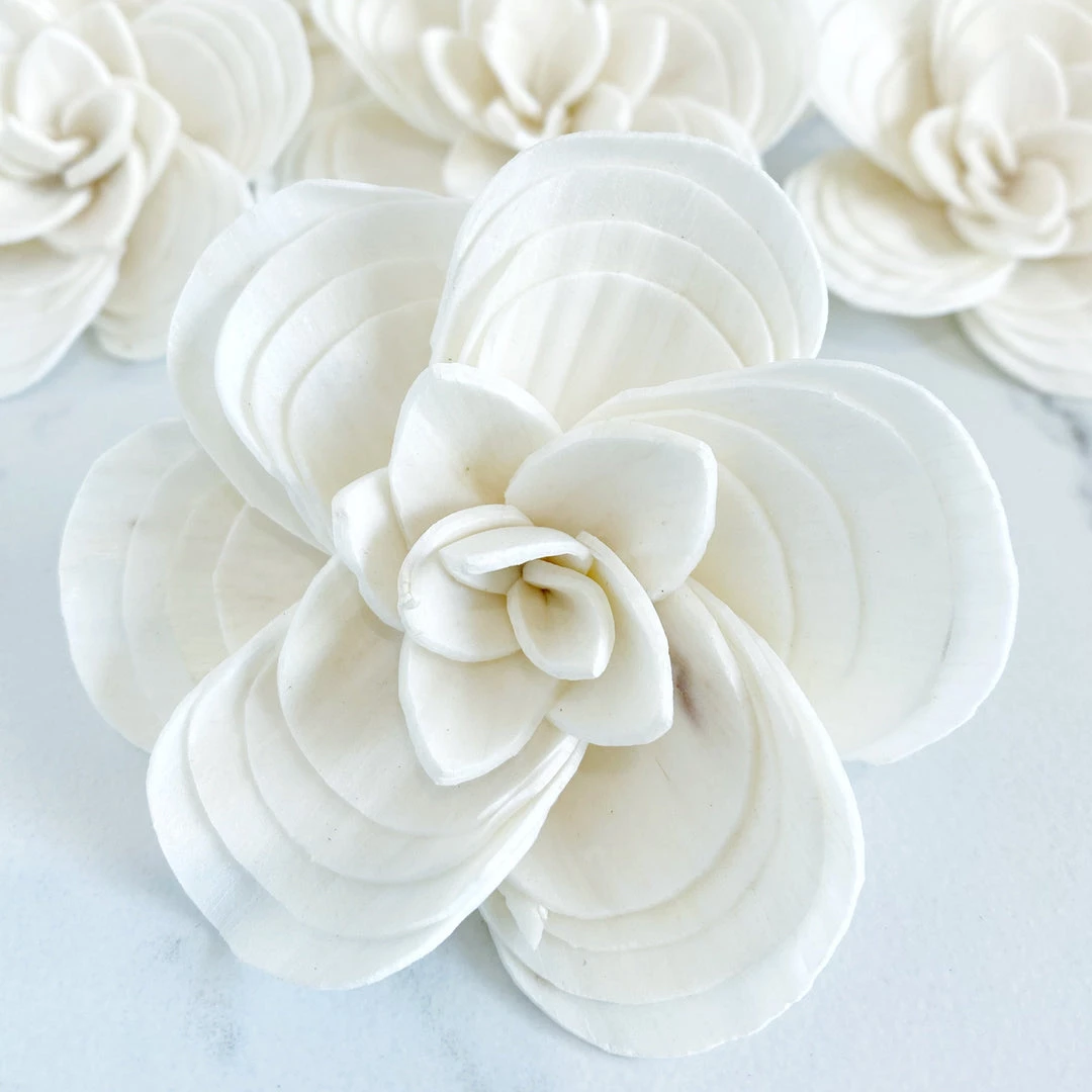 Oh! You're Lovely Sylvia ™ - Set Of 6 - 3 Inches