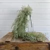 Oh! You're Lovely - Sola Wood Flowers Sage Greenery - Artificial Hanging Greenery