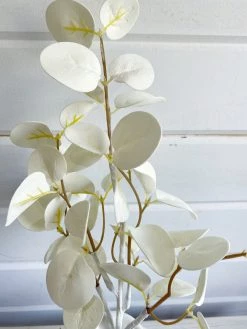 Oh! You're Lovely - Sola Wood Flowers Frosted Eucalyptus Pick | Faux | Premier Collection Greenery And Filler