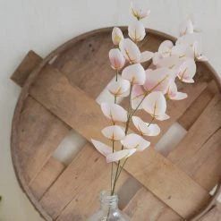 Oh! You're Lovely - Sola Wood Flowers Greenery And Filler Blush Eucalyptus | Premium Collection