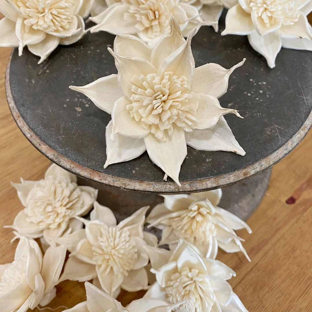 Oh! You're Lovely - Sola Wood Flowers Sundance - Set Of 12 - Multiple Sizes Available Sola Wood Flower Sets