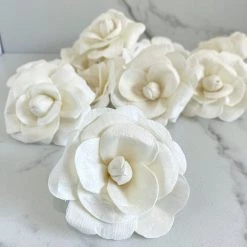 Oh! You're Lovely Sola Wood Flower Sets Double Begonia ™ - Set Of 12 - 2.5 Inches