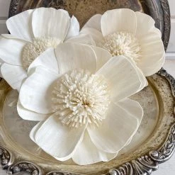 Oh! You're Lovely Mona Lisa ™ | Set Of 3 | XL 6 Inches Sola Wood Flower Sets