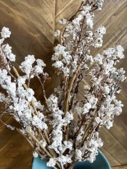 Oh! You're Lovely - Sola Wood Flowers Greenery And Filler Spring Bloom | White | Faux