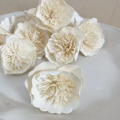 Oh! You're Lovely Sola Wood Flower Sets Mature Poppy™ Set Of 12