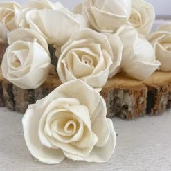 Oh! You're Lovely Julia Rose - Set Of 12 - Multiple Sizes Available